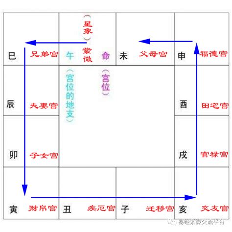 紫微十二宮位